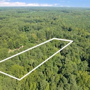 Lot C Track Lane