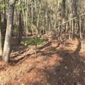 Photo #1 of 18+AC Pepper Creek Road, Susan, Virginia 18.2 acres