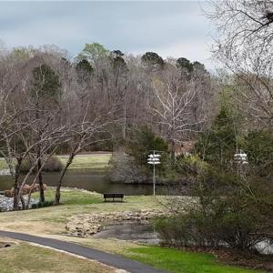 View from the lot