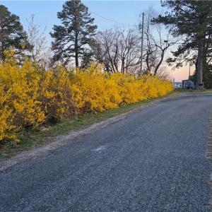 Photo #13 of 123 Waterview Road, Lancaster, Virginia 0.9 acres