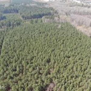 Photo #6 of 4401 General Mahone Highway, Waverly, Virginia 167.5 acres