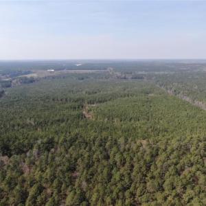 Photo #12 of 4401 General Mahone Highway, Waverly, Virginia 167.5 acres