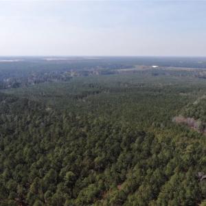 Photo #13 of 4401 General Mahone Highway, Waverly, Virginia 167.5 acres