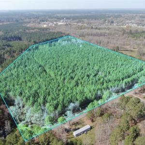 Photo #2 of 19ac Coppahaunk Avenue, Waverly, Virginia 19.6 acres