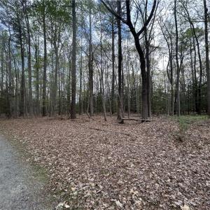 Photo #3 of 0.92AC Fenwood Court, Smithfield, Virginia 0.9 acres
