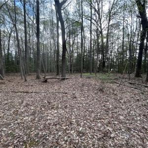 Photo #4 of 0.92AC Fenwood Court, Smithfield, Virginia 0.9 acres