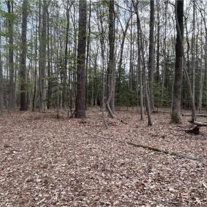 Photo #5 of 0.92AC Fenwood Court, Smithfield, Virginia 0.9 acres