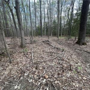 Photo #6 of 0.92AC Fenwood Court, Smithfield, Virginia 0.9 acres