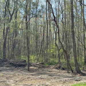 Photo #1 of 4025 B West Neck Road, Virginia Beach, Virginia 0.7 acres