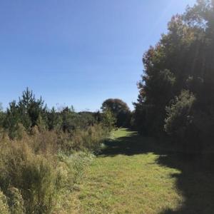 Photo #5 of 2.995 AC Parcel B, Plantation Road, Onancock, Virginia 3.0 acres