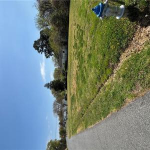 Photo #6 of 832 Oklahoma Drive, Chesapeake, Virginia 0.2 acres