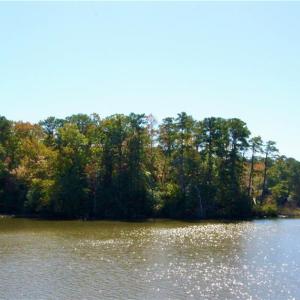 117 Northpoint Drive view from College Creek