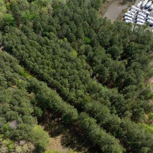 Photo #11 of 25+AC Brewers Neck Boulevard, Carrollton, Virginia 27.3 acres