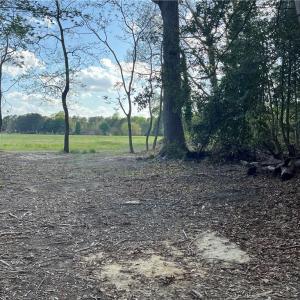 Photo #11 of Lot 1 Cobham Wharf Road, Surry, Virginia 2.3 acres