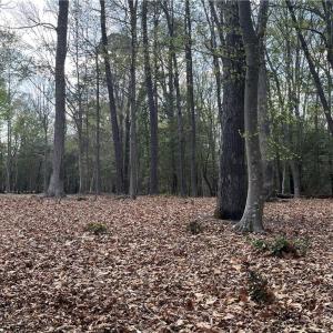 Photo #3 of Lot 1 Cobham Wharf Road, Surry, Virginia 2.3 acres