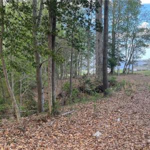 Photo #4 of Lot 1 Cobham Wharf Road, Surry, Virginia 2.3 acres