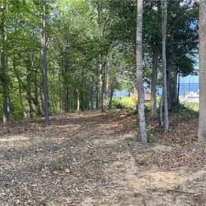 Photo #6 of Lot 1 Cobham Wharf Road, Surry, Virginia 2.3 acres