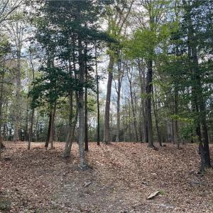 Photo #7 of Lot 1 Cobham Wharf Road, Surry, Virginia 2.3 acres