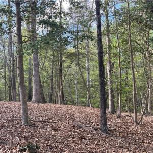 Photo #8 of Lot 1 Cobham Wharf Road, Surry, Virginia 2.3 acres