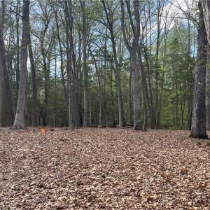 Photo #9 of Lot 1 Cobham Wharf Road, Surry, Virginia 2.3 acres
