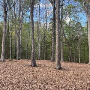 Photo #10 of Lot 1 Cobham Wharf Road, Surry, Virginia 2.3 acres