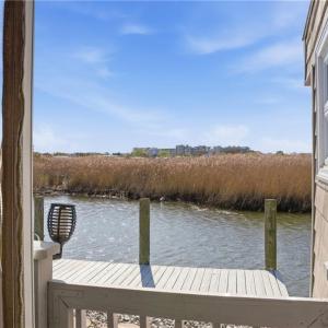 Photo #20 of 3665 Sandpiper Road, Virginia Beach, Virginia