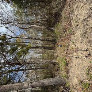 Photo #11 of 4.51AC Hog Island Road, Surry, Virginia 4.5 acres