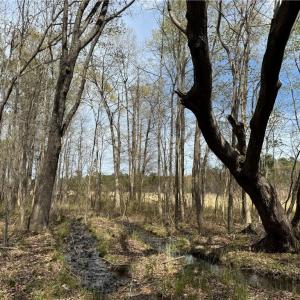 Photo #17 of 4.51AC Hog Island Road, Surry, Virginia 4.5 acres