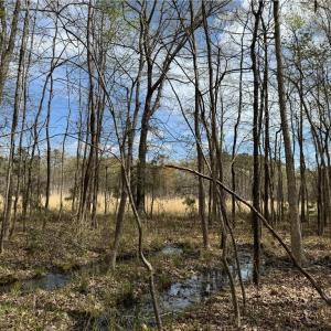 Photo #18 of 4.51AC Hog Island Road, Surry, Virginia 4.5 acres