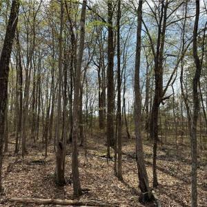 Photo #20 of 4.51AC Hog Island Road, Surry, Virginia 4.5 acres