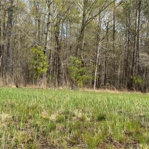 Photo #26 of 4.51AC Hog Island Road, Surry, Virginia 4.5 acres