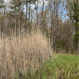 Photo #27 of 4.51AC Hog Island Road, Surry, Virginia 4.5 acres