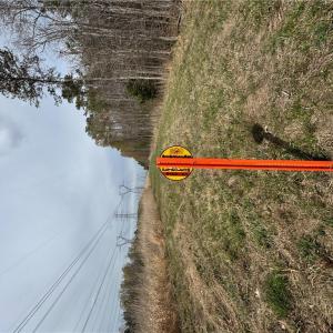 Photo #29 of 4.51AC Hog Island Road, Surry, Virginia 4.5 acres