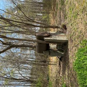 Photo #34 of 4.51AC Hog Island Road, Surry, Virginia 4.5 acres