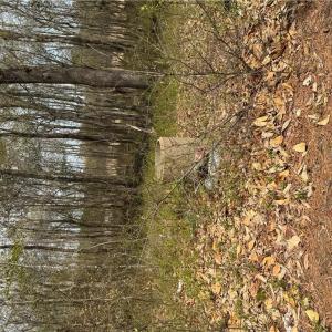 Photo #37 of 4.51AC Hog Island Road, Surry, Virginia 4.5 acres