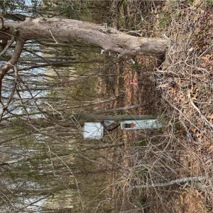 Photo #6 of 4.51AC Hog Island Road, Surry, Virginia 4.5 acres