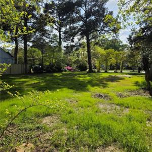Open space