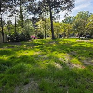 Lots of yard for planting