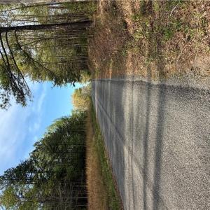 Photo #11 of 5.1+AC Monguy Road, Charles City, Virginia 5.9 acres