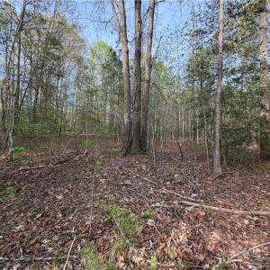 Photo #12 of 5.1+AC Monguy Road, Charles City, Virginia 5.9 acres