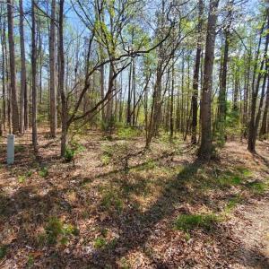 Photo #3 of 5.1+AC Monguy Road, Charles City, Virginia 5.9 acres