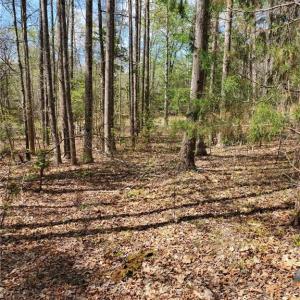 Photo #4 of 5.1+AC Monguy Road, Charles City, Virginia 5.9 acres