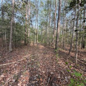 Photo #10 of 5.1+AC Monguy Road, Charles City, Virginia 5.9 acres