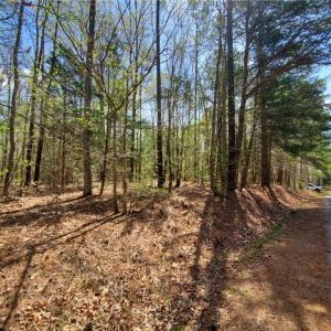 Photo #2 of 5.1+AC Monguy Road, Charles City, Virginia 5.9 acres