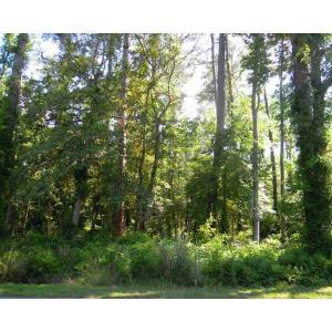 Photo #6 of 816 Ship Point Road, Yorktown, Virginia 2.7 acres