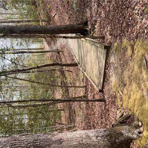 Photo #12 of 1.1+AC East West Parkway, Gloucester, Virginia 2.6 acres