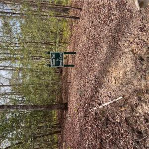 Photo #5 of 1.1+AC East West Parkway, Gloucester, Virginia 2.6 acres