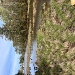 Photo #10 of 1.1+AC East West Parkway, Gloucester, Virginia 2.6 acres