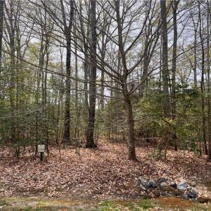 Wooded Lot