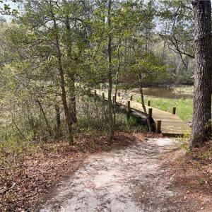 Trail goes down the hill to wooden walkway
